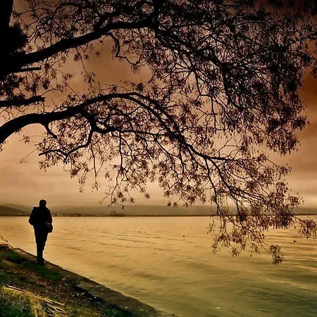 Hotel Grand Nicea 3*