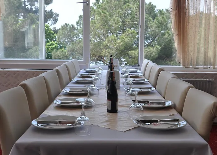 酒店 Grand Nicea 3*