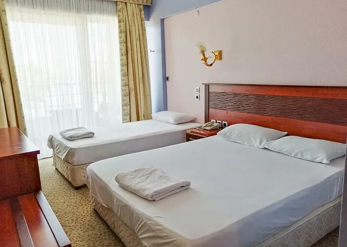 酒店 Grand Nicea İznik